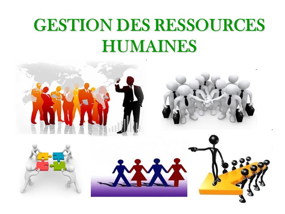 Gestion des ressources humaines